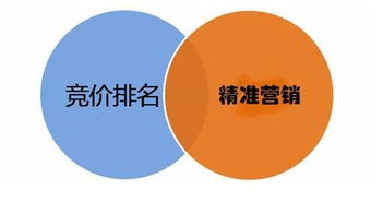 网络文化经营中的精准客户获取策略 从流量转化到信任积累